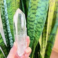 画像1000