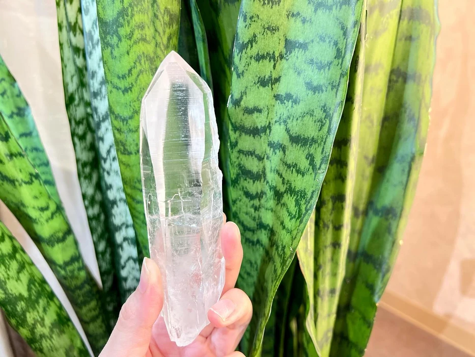 画像1000