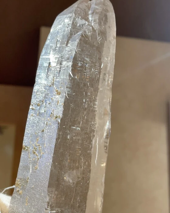 画像1020
