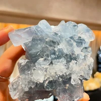 画像1031