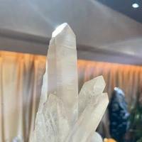画像1329