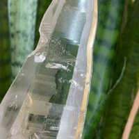 画像1405