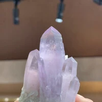 画像1427
