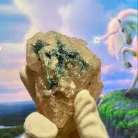 画像1444