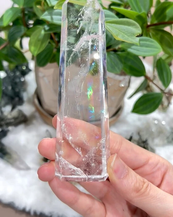 画像1448