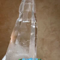 画像1487