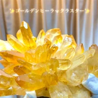 画像1507
