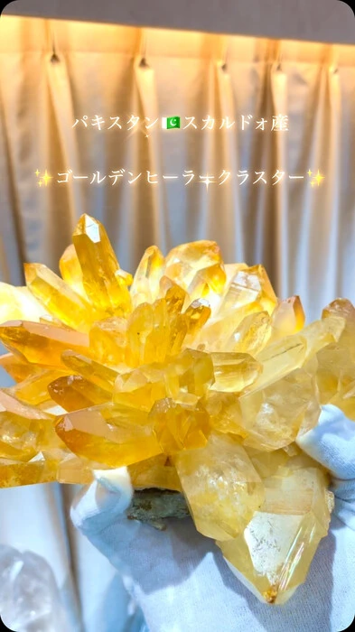 画像1507