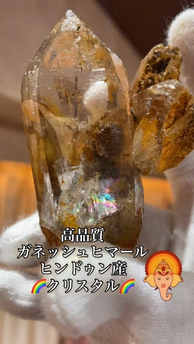 画像1516