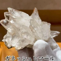 画像1518