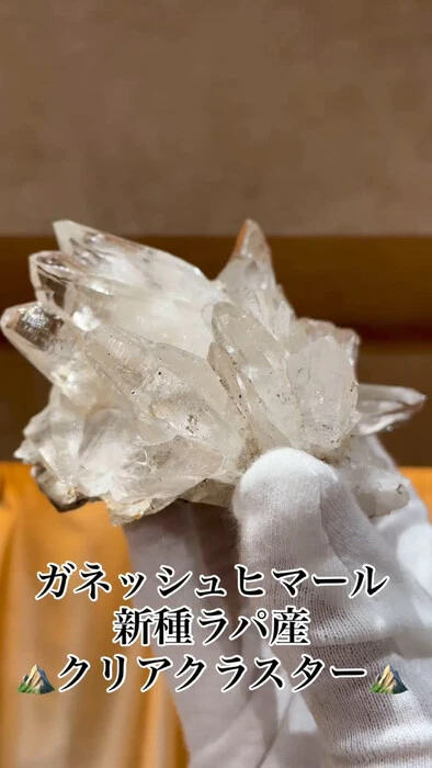 画像1518