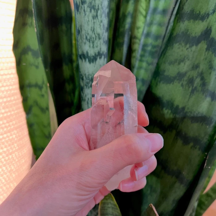 画像1525