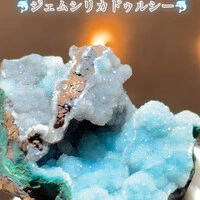 画像1534