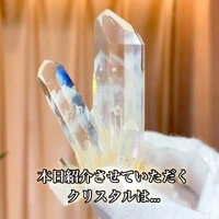 画像1570