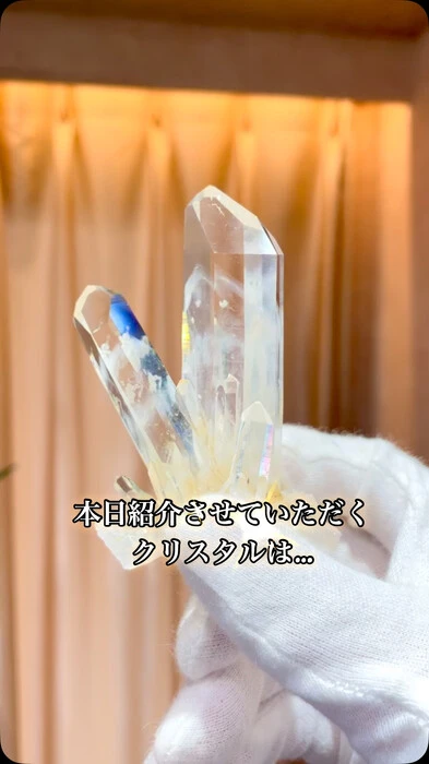 画像1570