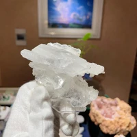 画像1670