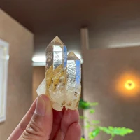 画像1795