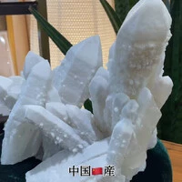 画像1802