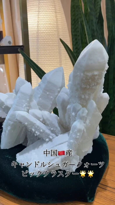 画像1802