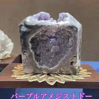 画像1808
