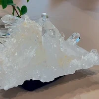 画像1810