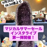 画像1985