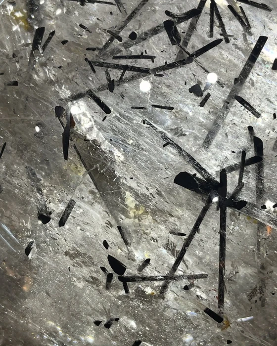 画像2071