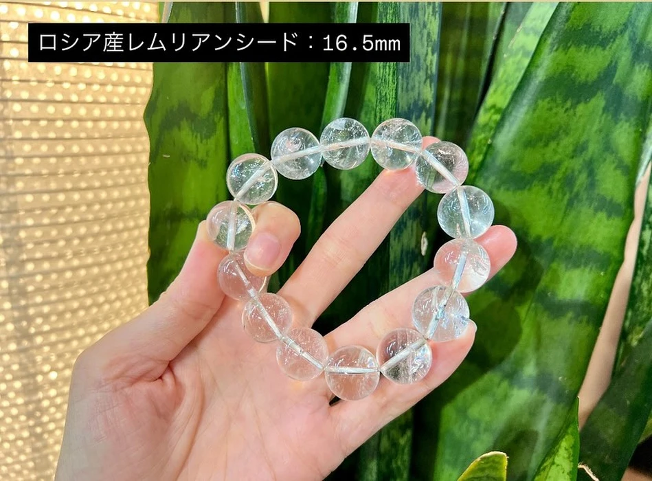 画像2121