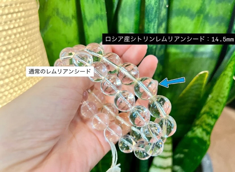 画像2122