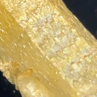 画像2281