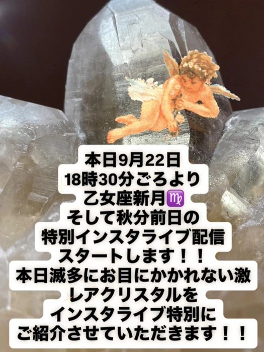 画像2298