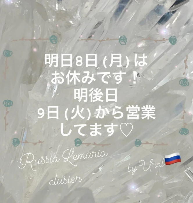 画像233