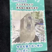 画像2341