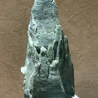 画像2344