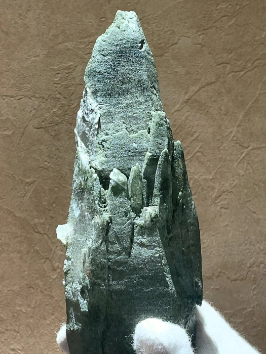 画像2344