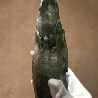 画像2345
