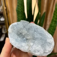 画像2364