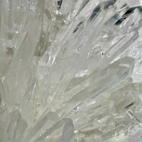 画像238