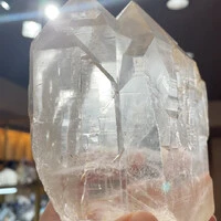 画像2463