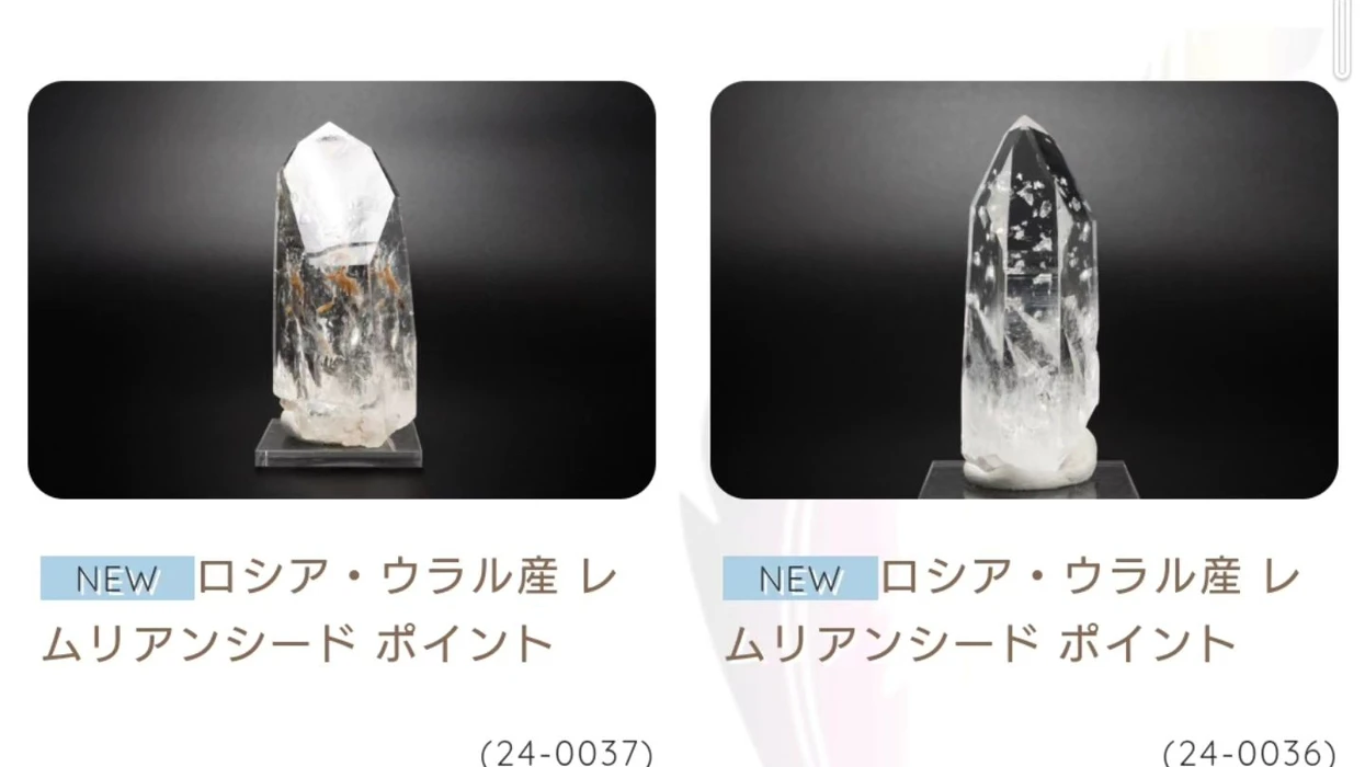 画像250