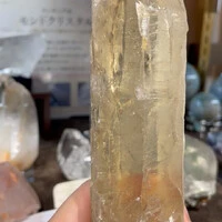 画像2529