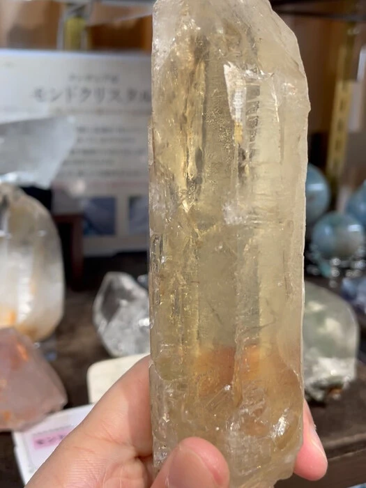 画像2529