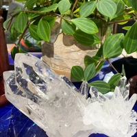 画像2534