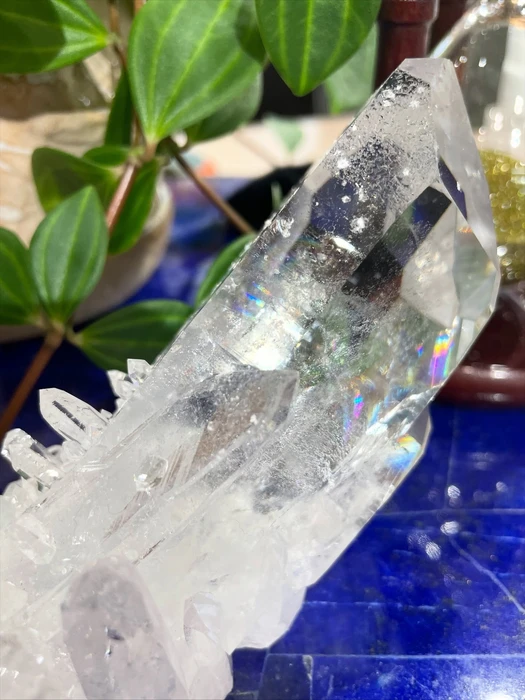 画像2540
