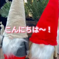 画像2619
