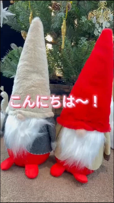 画像2619