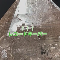 画像2732