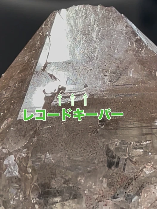 画像2732