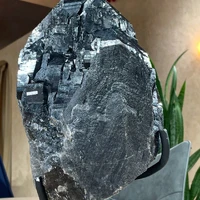 画像2736