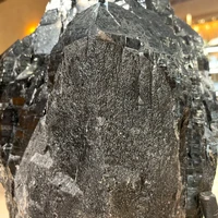 画像2742